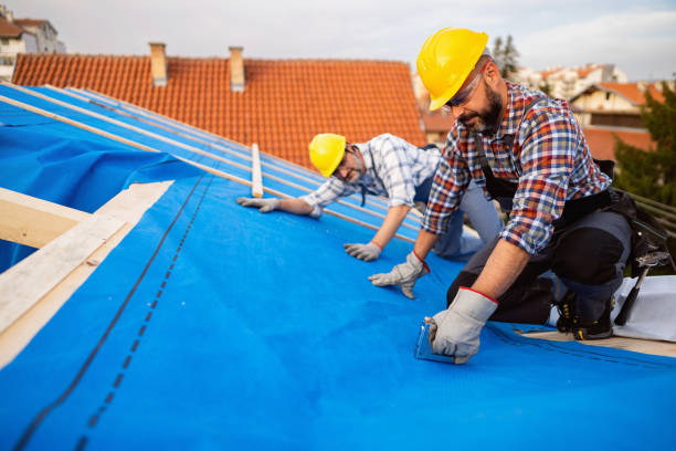 Roof Gutter Cleaning in Danville, CA